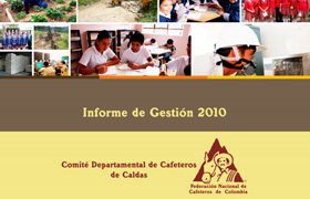 Informe de gestión 2010