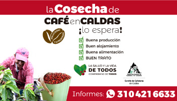 “LA COSECHA DE CAFÉ EN CALDAS LO ESPERA”, DESDE YA LA INVITACIÓN