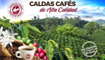 INSCRIPCIONES AL 19º CONCURSO CALDAS CAFÉS DE ALTA CALIDAD