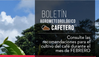 EL BOLETÍN AGROMETEOROLÓGICO CAFETERO RECOMIENDA PARA FEBRERO