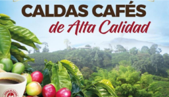 20 AÑOS DEL CONCURSO CALDAS CAFÉS DE ALTA CALIDAD, PRIORIDAD EN 2023