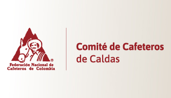 COMITÉ DE CALDAS SOLICITA ESTRATEGIAS ANTE DISMINUCIÓN DEL PRECIO DEL CAFÉ