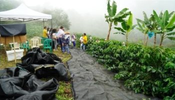 AMIGO CAFICULTOR, TENGA EN CUENTA QUE LA COSECHA ASISTIDA DE CAFÉ LO PUEDE AYUDAR EN LA PRÓXIMA COSECHA CAFETERA