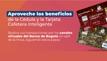 CONOZCA LOS BENEFICIOS Y SERVICIOS DE TENER LA CÉDULA CAFETERA Y LA TARJETA CAFETERA INTELIGENTE: IDENTIDAD GREMIAL Y SERVICIOS FINANCIEROS – IV