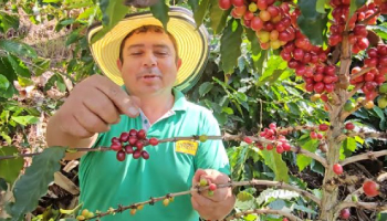 ESCUCHE A ELIOVER GARCÍA RÍOS, PATRÓN DE CORTE EN LA RECOLECCIÓN DE CAFÉ. «LES DECIMOS A LOS RECOLECTORES QUE QUEREMOS QUE NOS ACOMPAÑEN»