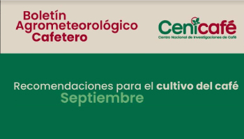 CONOZCA EL BOLETÍN AGROMETEOROLÓGICO DE CENICAFÉ Y SIGA SUS CONSEJOS PARA EL CULTIVO DE CAFÉ EN SEPTIEMBRE