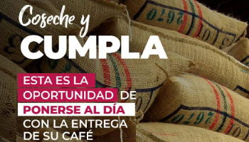 FNC – FEDERACIÓN NACIONAL DE CAFETEROS LANZA BENEFICIO PARA PROMOVER EN LA ACTUAL COSECHA LA ENTREGA DEL CAFÉ COMPROMETIDO EN VENTAS A FUTURO