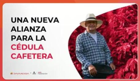 EN ABRIL DE 2025 EMPEZARÁ A FUNCIONAR LA NUEVA CÉDULA CAFETERA CON DAVIVIENDA CON SERVICIOS COMO CRÉDITO PARA COMPRA DE FERTILIZANTE A TAZA 0%