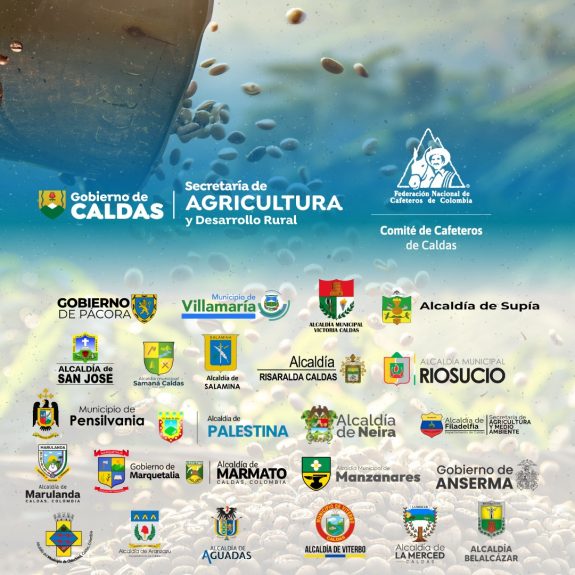 Cómo participar en el convenio tripartita para las nuevas siembras y renovación de cafetales
