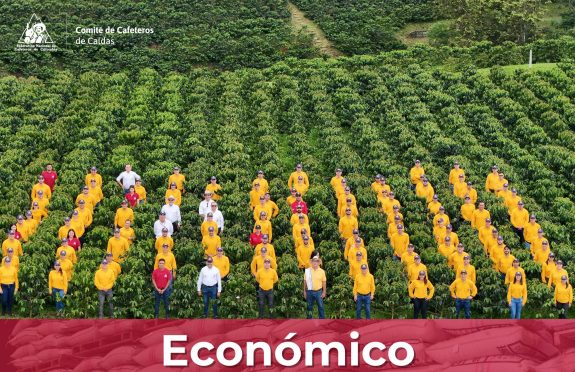 Servicio de Extensión del Comité de Cafeteros de Caldas se capacitó y se enruta para capacitar al caficultor