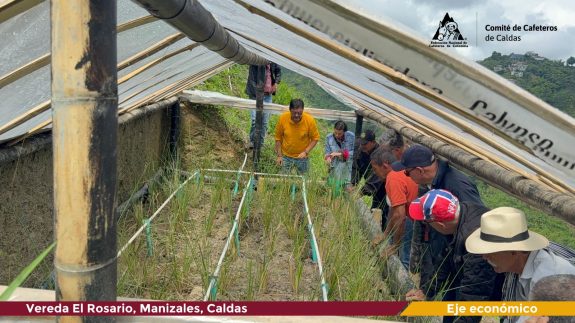 Caficultores de Manizales se capacitaron en la tecnología de filtros verdes