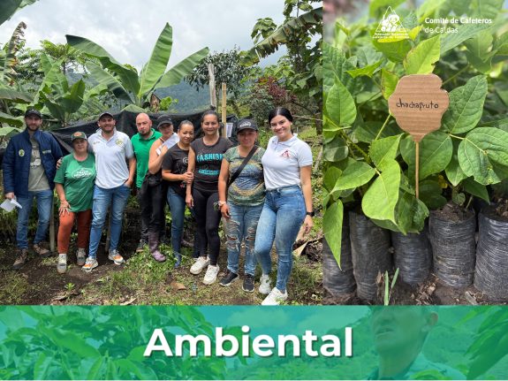 Guardianas del medio ambiente fortalece el proyecto Mujeres Cafeteras Sembrando Sostenibilidad en su etapa 8