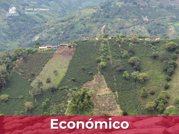 El Comité de Cafeteros de Caldas expresa su solidaridad ante las afectaciones por las lluvias en el departamento