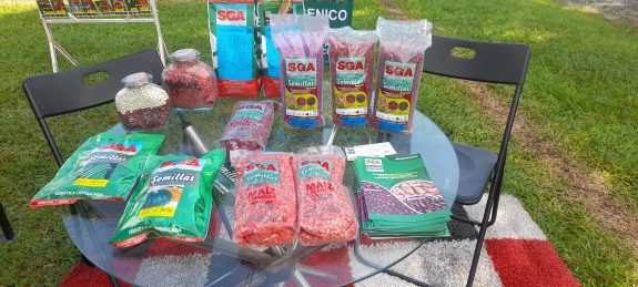 Tecnología, conocimiento y alianzas: Así se vivió el relanzamiento del frijol biofertilizado en la estación Naranjal