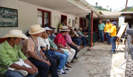 Caficultores de Manizales fortalecen su producción con variedades resistentes y talleres de transferencia de conocimiento