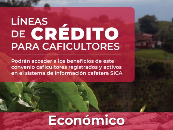 Nuevas líneas de crédito para caficultores: impulso financiero a la productividad y sostenibilidad