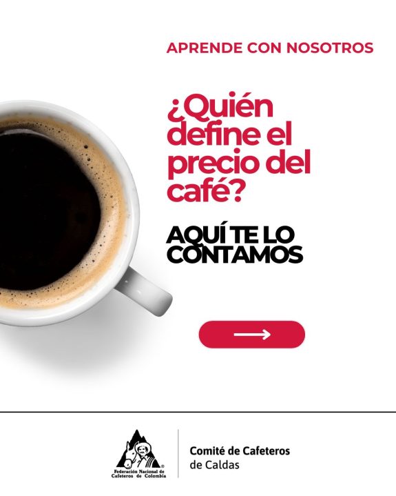 ¿Quién define el precio del café? Aquí te lo explicamos