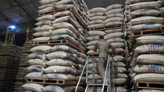 Alza del 19% en la producción de café en agosto en Colombia