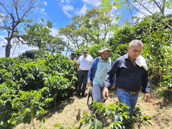 Comunidad de Pasmí avanza en proyecto para construir una garrucha y fortalecer el desarrollo cafetero en Riosucio
