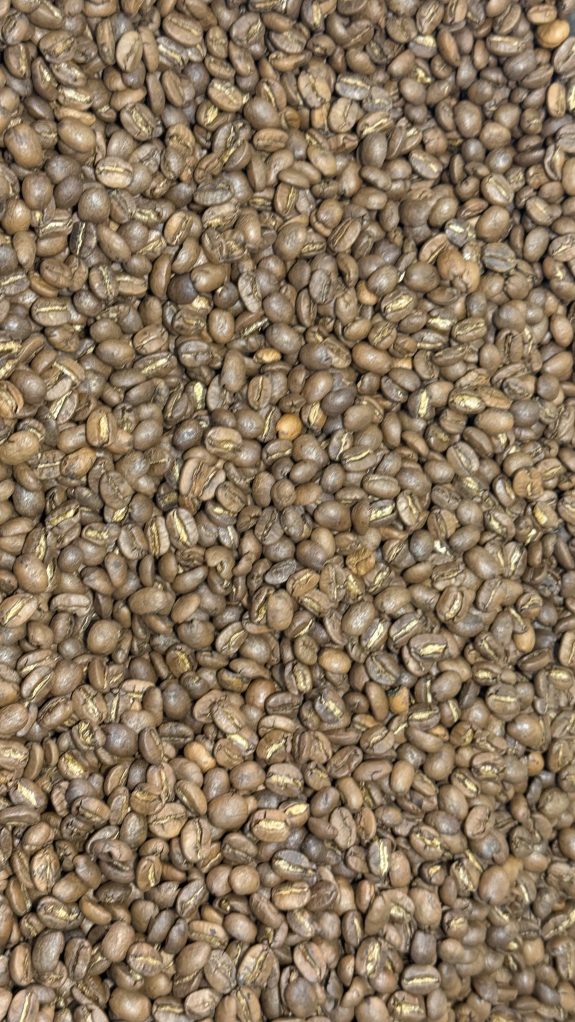 65 muestras de café participaron en el 5º Concurso de Cafés Tostados de Manizales