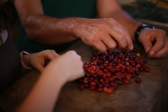 El Gerente General se refirió al comportamiento del dólar y su vínculo con el precio del café en Colombia.