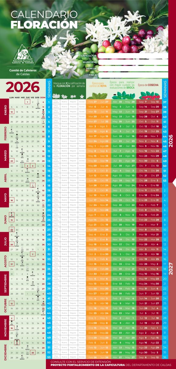 Registro de floraciones: una herramienta clave para planificar la cosecha cafetera en Caldas