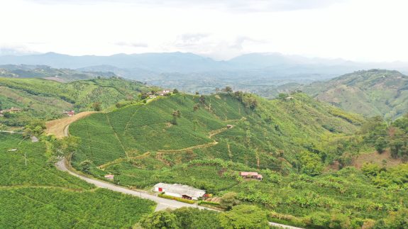 La productividad es el camino y el Servicio de Extensión, el gran aliado