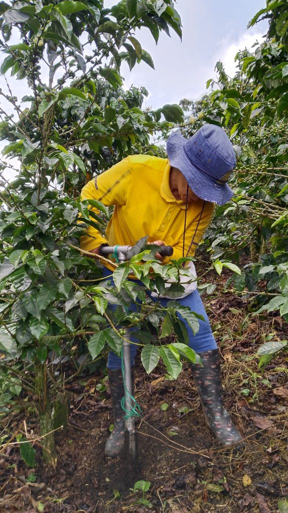 El Extensionista Informa- Riosucio Caldas