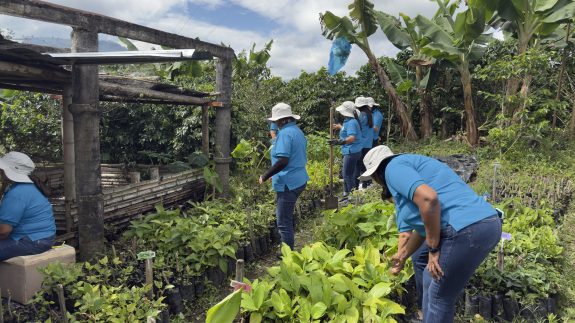 Proyecto Mujeres Cafeteras Sembrando Sostenibilidad es una muestra de impacto en las comunidades y la resiliencia de la mujer Caldense.