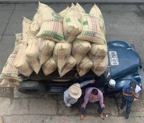 Cooperativas cafeteras: 60 años garantizando precio, cercanía y confianza en el campo colombiano