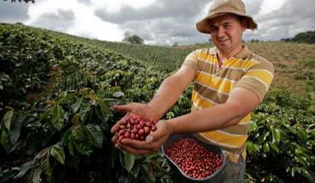 hombre con semillas de café en sus manos