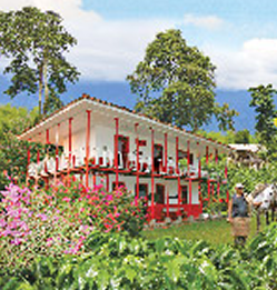 finca cafetera colombiana