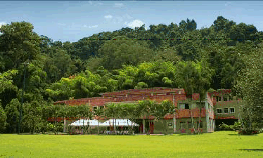 FNC pioneers obtaining rights over varieties developed by Cenicafé