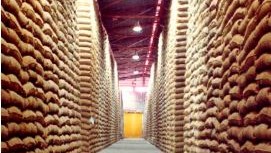 Colombian coffee production falls 20% in January