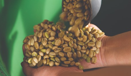 New guide to good post-harvest practices for washed Colombian coffee is presented