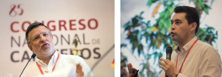 Assisted harvesting & rust resistance advances are shown to coffee growers