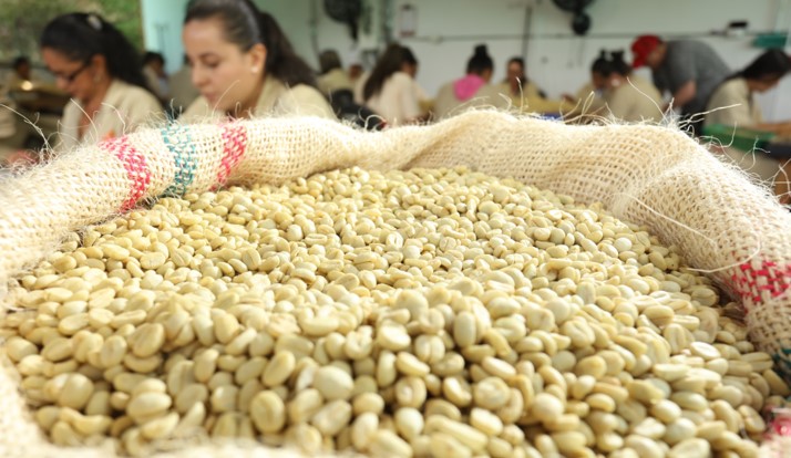 Colombian coffee production closed 2019 at 14.8 million bags