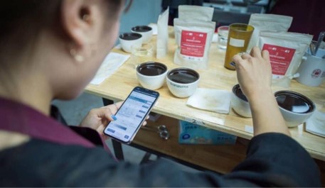 En primera subasta virtual internacional se vendieron 32 lotes de café a un promedio de 11,66 dólares por libra