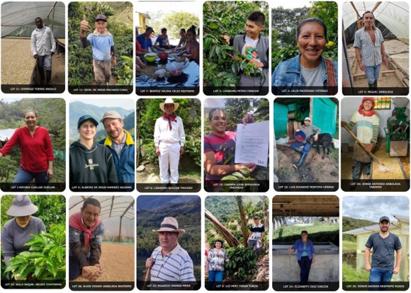 A precio promedio de 12,76 USD/lb se subastan 26 cafés finalistas de sexto concurso Colombia, Tierra de Diversidad