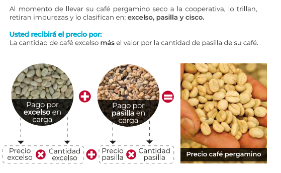 Precio del café sube en tiempos de coronavirus