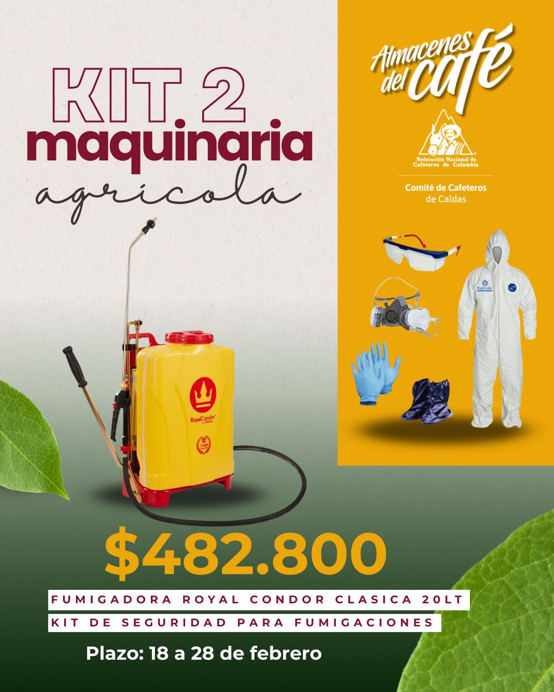 WhatsApp Image 2026-02-19 at 2.49.59 PM-2